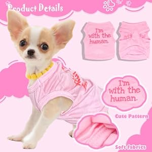 4 Pieces Dog Clothes for Small Dogs Spring Summer Cute Dog Clothes Female Outfit Pet Puppy Shirt Small Dog Clothes for Girls Chihuahua Yorkie Teacup Dog XXS