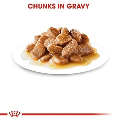 Image of Royal Canin Mini Adult Dog Food, 85 Grams, Supports Weight Management, Strong Bone and Joint Health, Provides Optimal Health Support, Pack of 24 Sachet