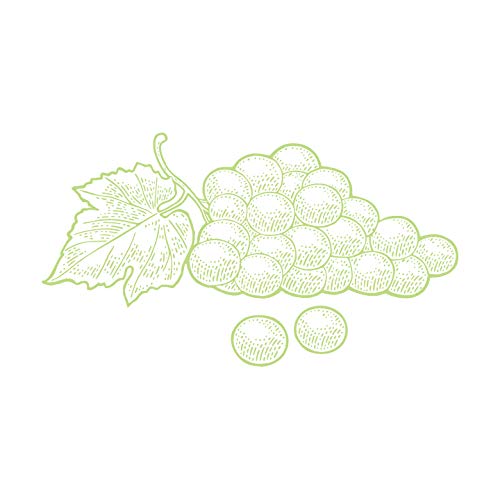 Senna Cosmetics, Sculpting Eye Cream with Apple Stem Cell & Grapeseed, 0.50 fl oz - Image 4