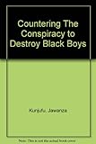 Countering The Conspiracy to Destroy Black Boys