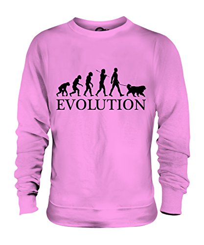 Sweat Clumber Spaniel Évolution idéal pour balade en forêt