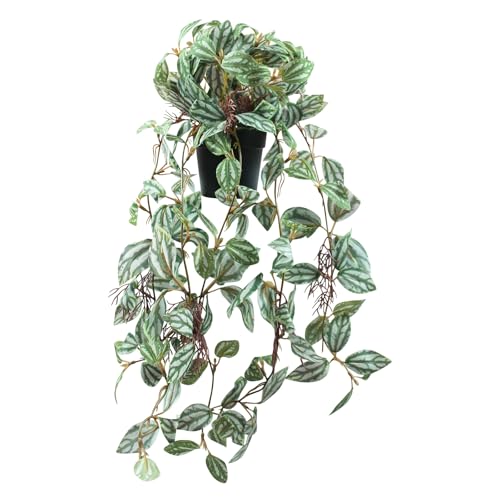 Vnezakl Artificial Hanging Ivy Plants Realistic 3D Watermelon Texture Fake Peperomia Leaves Faux Potting Vine Green Plants for Indoor Outdoor Home Garden Decor