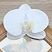 HinyoCo 24 Pcs Orchid Decorations Real Touch PU Artificial Flowers Orchid Heads Fake Phalaenopsis Flower Heads for DIY Craft Home Wedding Decoration