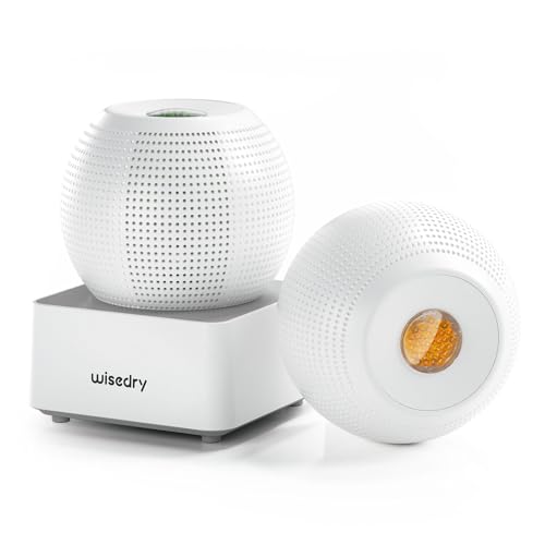 Wisedry 2-Hour Fast Rechargeable Mini Dehumidifier