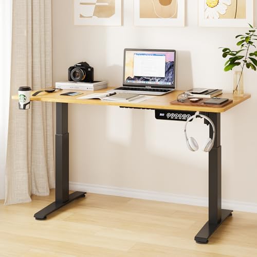 Amazon.com: HZTDFNI Standing Desk 48 x 24 Inches Electric Adjustable ...