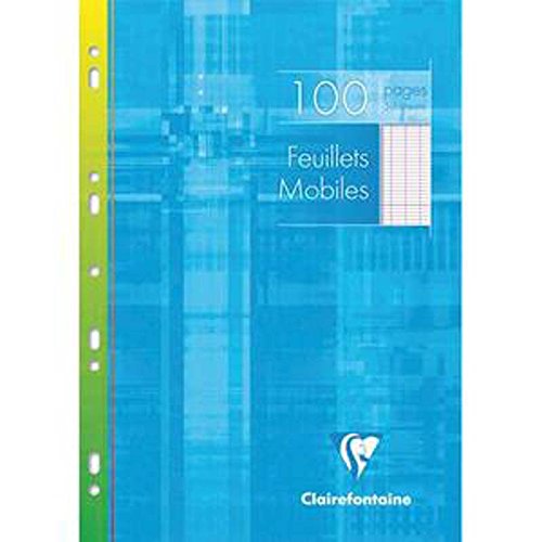 Lot de 10 feuillets mobiles 21 x 29,7 cm 100 pages grands carreaux blancs 90g - Sous étuis carton