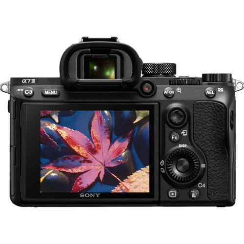 Sony A1 full frame camera