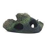 Crea un ambiente natural y natural para los peces.