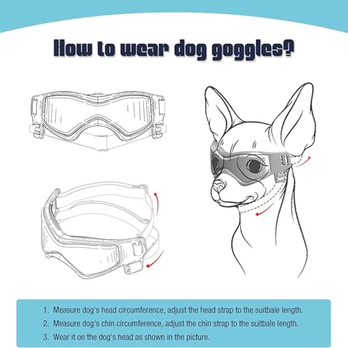 Casque pour petits chiens et lunettes soleil anti vent M - 6