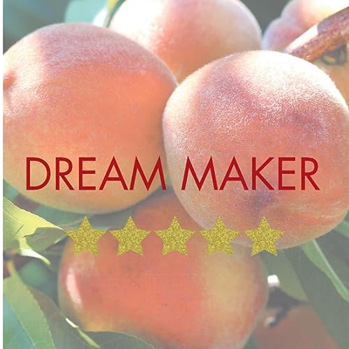 Dream Maker (Audible Audio Edition) Henrietta Dixon