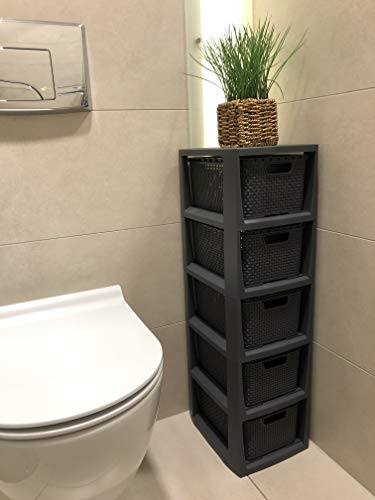 BranQ - Home essential Rek in rotan design, BPA-vrije kunststof PP, antraciet, 29,5 x 24 x 80 cm, 5 manden - Image 5