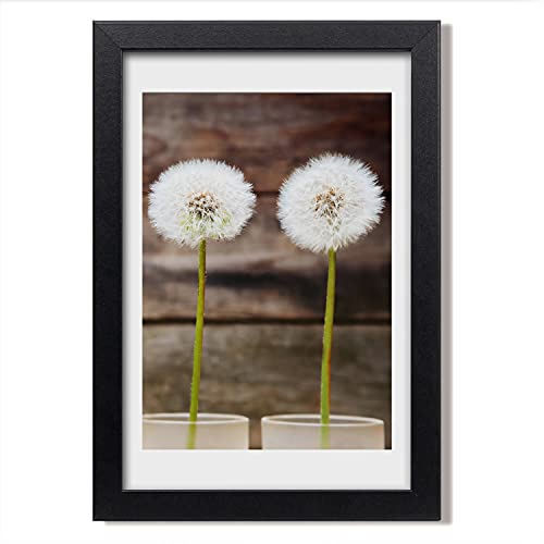 Cadre photo Tulup pissenlits 20x30 cm pour habiller facilement un mur vide