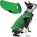 Gooby Every Day Fleece Cold Weather Dog Vest for Small Dogs, Green, Small
