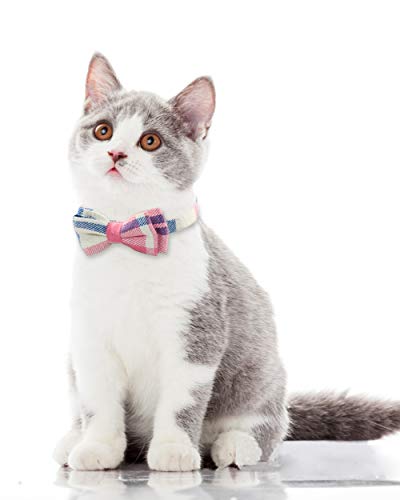 TagME Katzen halsbänder mit Namen und Telefonnummer Auf, Kätzchenhalsband mit Sicherheits Verschluss und Glöckchen,Rosa 1er Pack