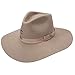 Charlie 1 Horse Women's Highway Springtime Felt Hat Mushroom Medium