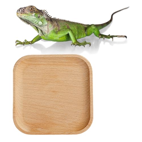 MAGNEECH 1 almofada para vaso sanitário de leopardo, lagartixa com crista, bandeja de lagartixa de l