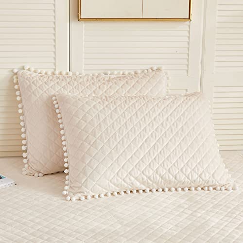 LIFEREVO Set of 2 Diamond Quilted Velvet Bed Pillowcases 20