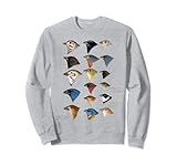 Illustration d'oiseaux nord-américains 1905 pour observateurs d'oiseaux