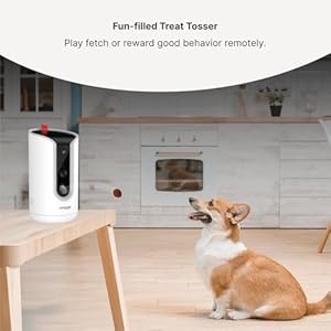 WaggleCam 2K | 360ยฐ Dog Camera with Treat Dispenser, Privacy-Enabled Built-in Storage, Free Video Streaming for Pets, Motion Alerts, Night Vision & 2-Way Audio WaggleCam 2K 360 Dog Camera with Treat Dispenser Privacy Enabled Built in Storage Free Video Streaming for Pets Motion Alerts Night Vision 2 Way Audio