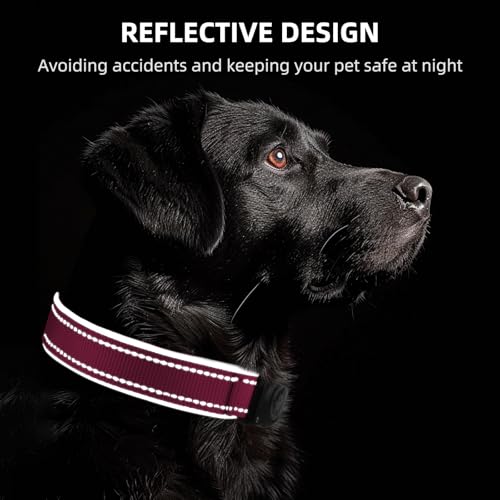 Image of Upgrade Dog Collar with AirTag Holder, IP68 Waterproof, Watermelon red, S