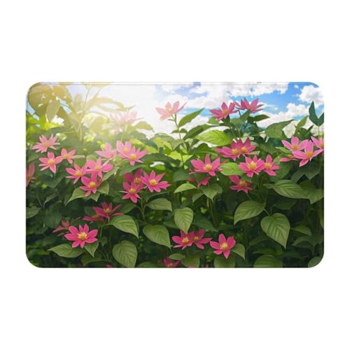 Beauty Flowers Print Living Room Bathroom Kitchen Anti Slip and Absorbent Carpet, Indoor Entrance Door Muddy Floor Mat, Ultra Soft Washable Carpet 21x31.5 Inches