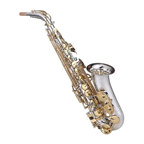 クラシ�?ク楽器 E♭アルトサ�?クスを演奏する�?��?�?