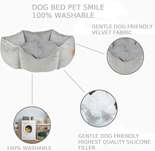Image of PetLux Velvet Pet Smile Super Soft Reversible Bed for Indoor Cats, Dog Bed for Puppy and Kitty Round Bed, Sofa Basket for a Dog & Cat | Pet Bed With Pillow (S, Grey)