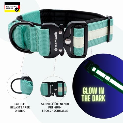 teamwalk® Premium Hundehalsband - mit Magnetgriff, Leuchtstreifen, Air-Tag Tasche, individuell einstellbar, weiche Polsterung, robuste Schnalle, mit passender Leine erhältlich, JETZT NOCH Leichter(M)