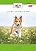 Alto-Petfood - Premium Hunde-Pralinen vom Kalb | in hochwertiger Geschenk-Box | 100% Naturprodukt | besondere Hundeleckerlies - 1 Packung