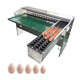 Compact Commercial Egg Grader