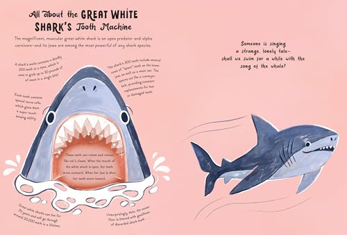 5-Minute Ocean Stories (5-Minute Discovery Stories) - Image 3