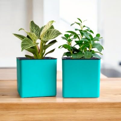 Image of Indian Discovery Self Watering Tabletop Planter| Flower Pots for Home, Terrace, Balcony, Vertical Garden Decor Flower Pots(1 PC, Peacock Green, Square) |6 Inch UV-Resistant Plastic Plant Pots