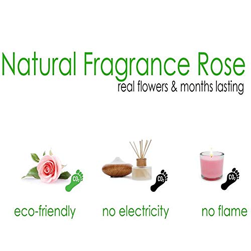 Home Scent 12oz Natural & Months Lasting Fragrance Roses Soothing Aromatherapy Gift Birthday Gifts Gifts for her. Living Room Decor Farmhouse Decor (Pale Pink/Scent Fruity Floral) - Thumbnail 2