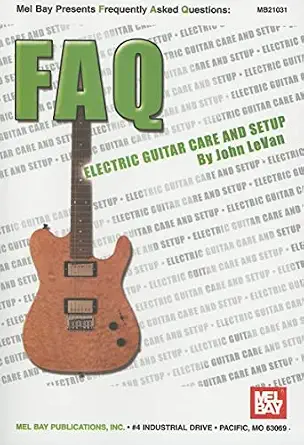 electric guitar accessories