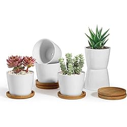 Maceteros Medianos ComSaf 8.5CM Ceramic Succulent Plant Pot Cactus Planter Window Box with Tray - Small White Pack of 6, Desktop Windowsill Office Decoration Birthday Wedding for Garden Lover
