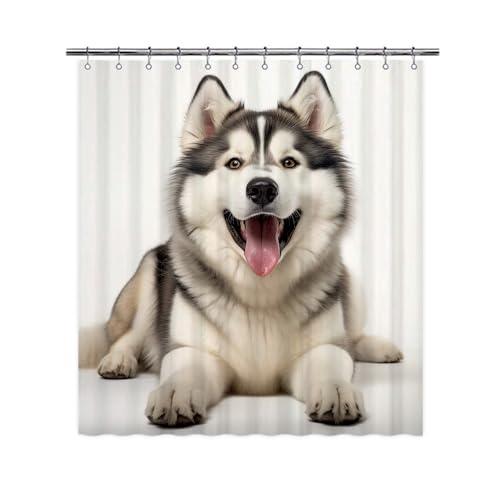 Ganshan Bi Alaskan Malamute Dog Shower Curtain for Bathroom Lovely Dog Puppy Pet Animal Print Bath Curtains Home Decor with 12 Hooks 72x72 Inch Style 2