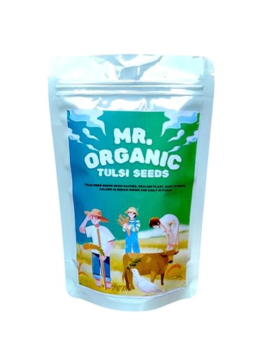 Mr.Organic Tulsi Herb Seeds For Home Garden(8000 To 10000 Seeds) 6 Gram | Rama Tulsi Seeds | Herb planting seeds ideal for both home gardening | High Germination Rate