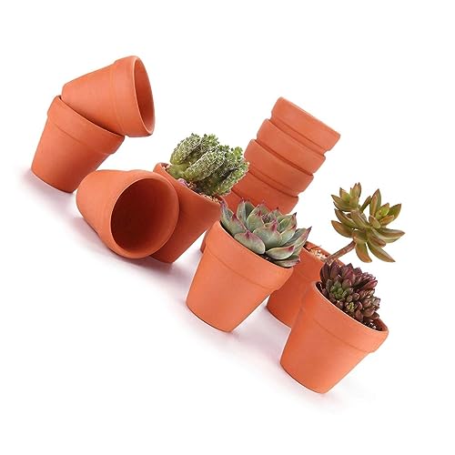 Set di 12 vasi in terracotta da 6,5 cm, impermeabili e traspiranti, ideali per casa, ufficio, fai da te, decorazioni per davanzali, decorazioni per matrimoni, piantare piante grasse.