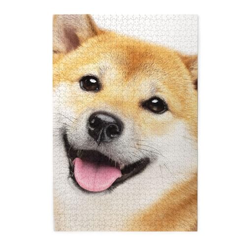  Č17 WO\[pY  ؐ mߋ  eqQ[ q l  W[ v[g pY 1000s[X