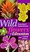 Wildflowers of Edmonton and Central Alberta