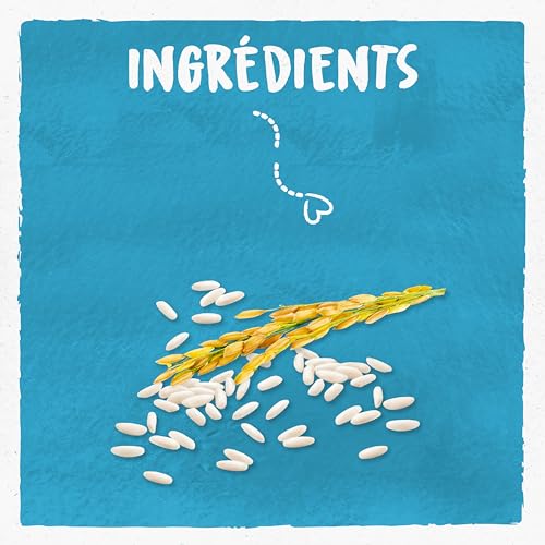 Boisson Végétale Bio Riz Bjorg La Brique De 1 - vue 4