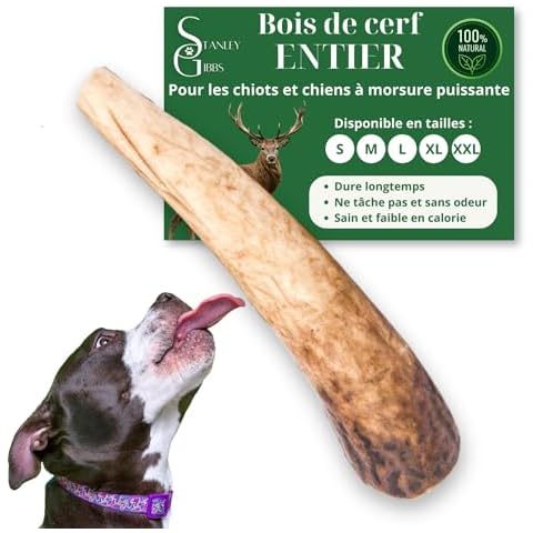 Bois de cerf Stanley Gibbs Cover
