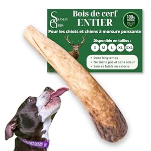 Bois de cerf pour Chien a Macher Entier (1 pièce). Friandise pour Chiots et Chiens de Tout âges. Jouet Occupation. Jouet de Mastication. Soins Dentaire idéal (M)