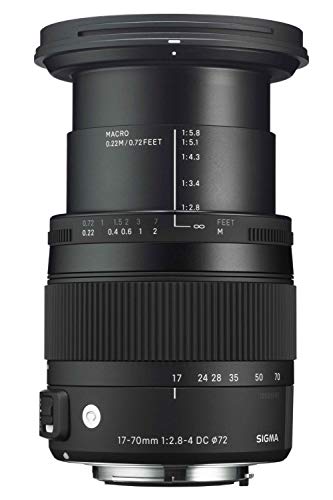 Sigma 14-24mm lens