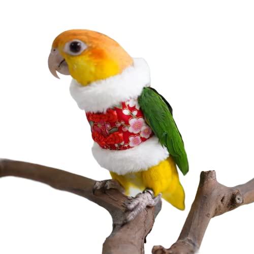 Image of Bird Flight Suit & Clothes Cosplay Photo Prop for Parrots, Parakeet, Cockatiel & Sun Conure - Bird Hoodie for Small Animals (Red, X-Large)