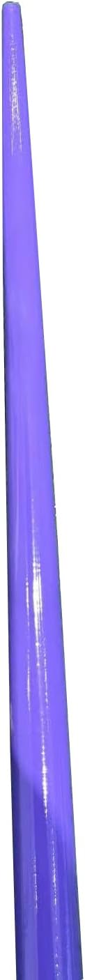 Silver Arrow 600g High School Rubber Tip Training Track & Field Javelin