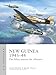 New Guinea 1943–44: The Allies assume the offensive (Air Campaign Book 63) (English Edition)