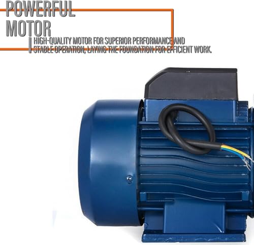 Bomba de riego de jardín, bomba de presión de agua industrial centrífuga, acero inoxidable con interruptor de presión (2200 W)