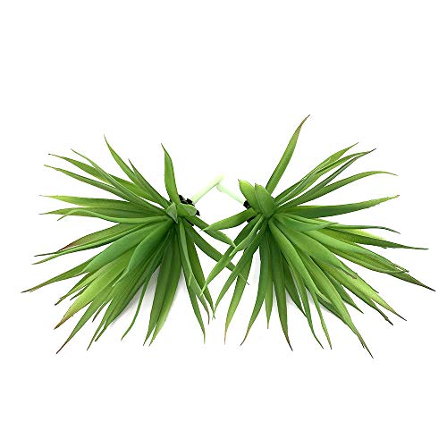 Ebuyom 2 Pcs Artificial Succulents Plants Real Touch Lifelike Succulants Plants Faux Greenery Plants Garden Diy Home Office Decoration Ornament (Agave) #TOP1