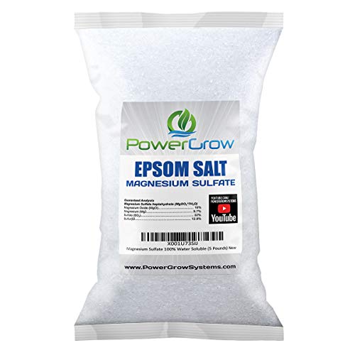 Epsom Salt (Magnesium Sulfate) Agricultural Grade Bulk (1 Pound)